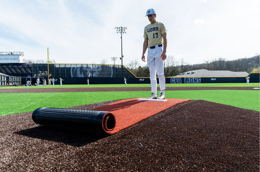 BASEBALL SILVER - FIELD DEFENSE SYSTEM