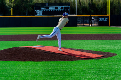 BASEBALL SILVER - FIELD DEFENSE SYSTEM