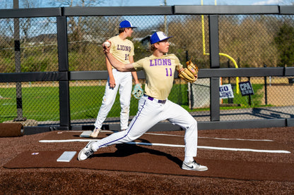 BASEBALL BRONZE - FIELD DEFENSE SYSTEM